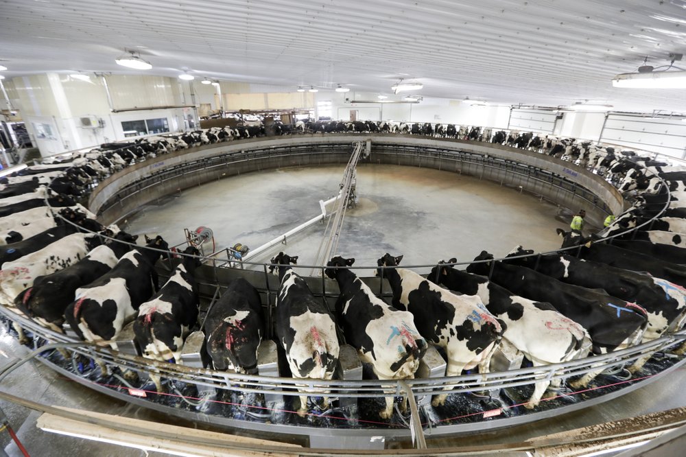 Business group argues Wisconsin regulators can't make factory farms ...